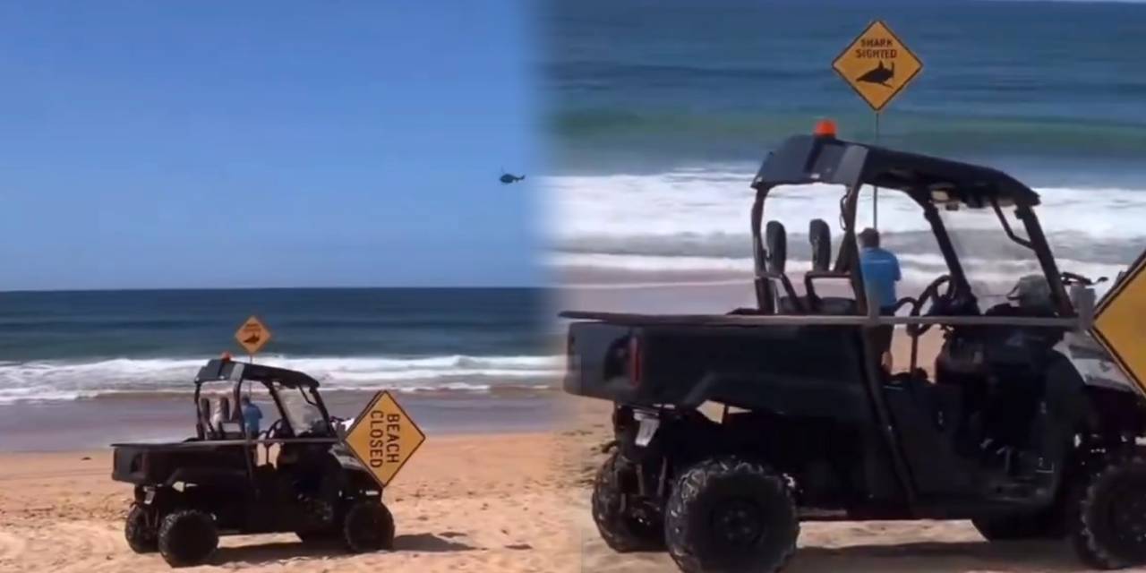 57 yaşındaki sörfçü köpekbalığı saldırısında hayatını kaybetti! Bölgede sahiller kapatıldı