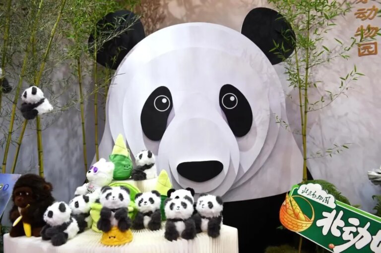 cin uluslararasi hizmet fuari 2025 ikrfu4Rf