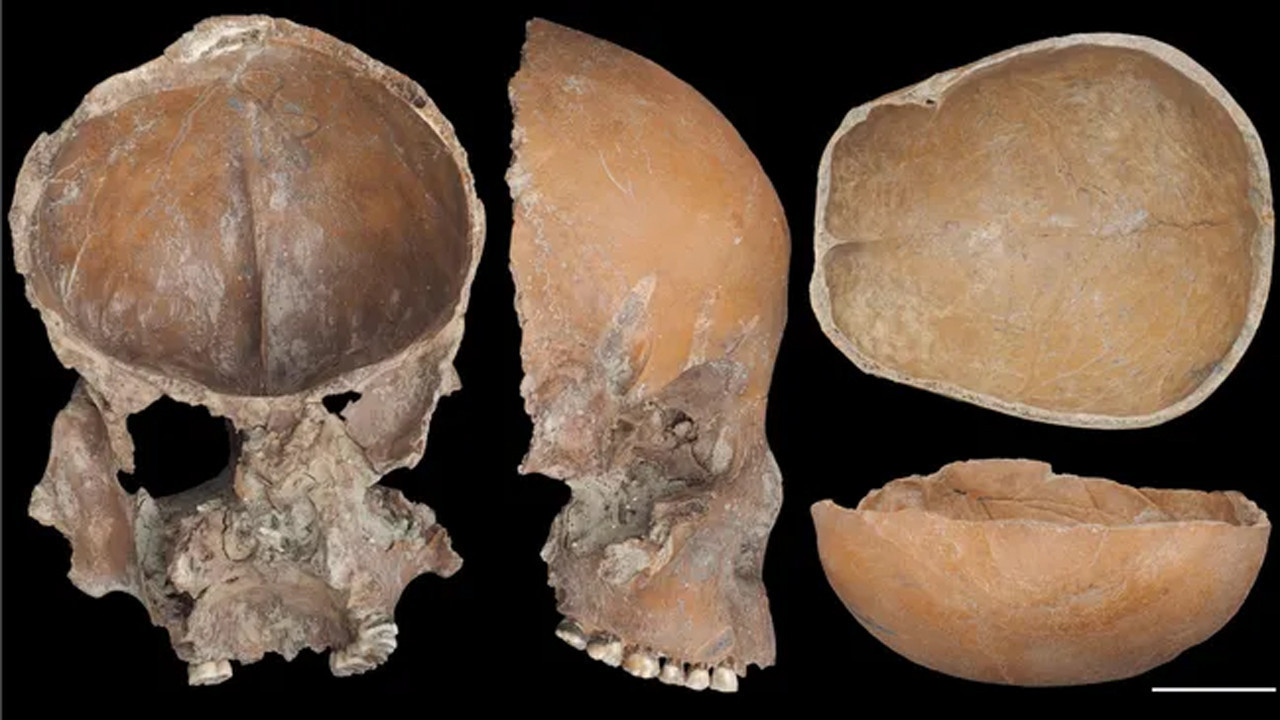 5000 yillik korkunc gizem insan kafataslarindan yapilmis kaplar ne anlama geliyor CXekKiDL.jpg