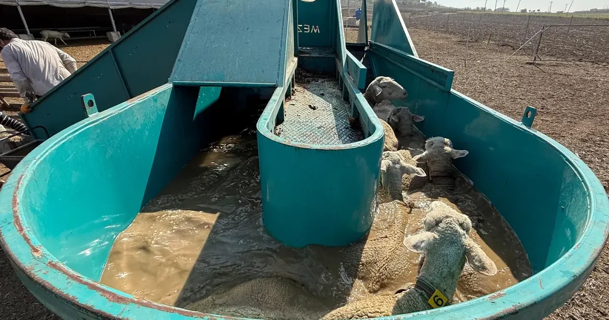 bursada tarimda inegol modeli ile kirsal kalkinmaya tam destek WRN2LVAI.webp