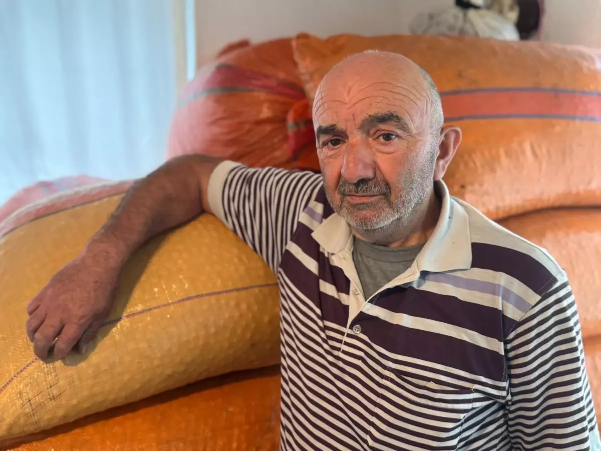 findik ureticisi beklemede 3XfOpl7R.jpg