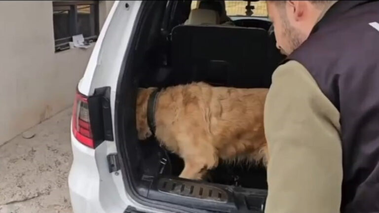 hakkaride gumrukte kontrol yapildi luks otomobilden 60 kilogram metamfetamin cikti M8X9DnQp.jpg