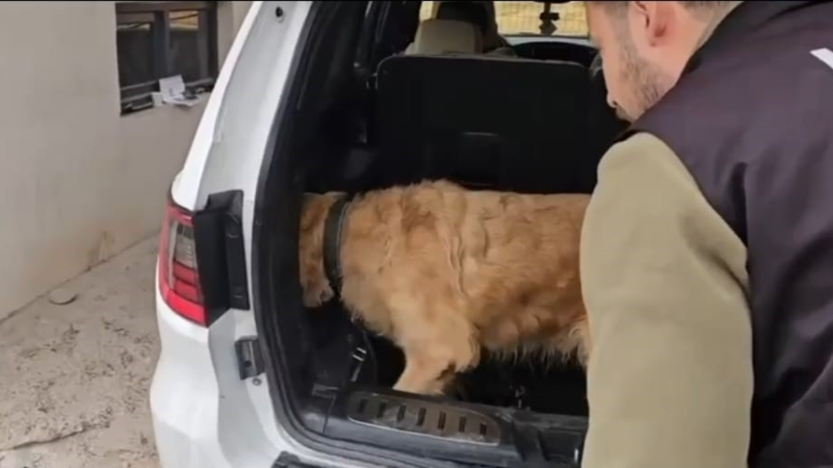 hakkaride gumrukte kontrol yapildi luks otomobilden 60 kilogram metamfetamin cikti M8X9DnQp.jpg