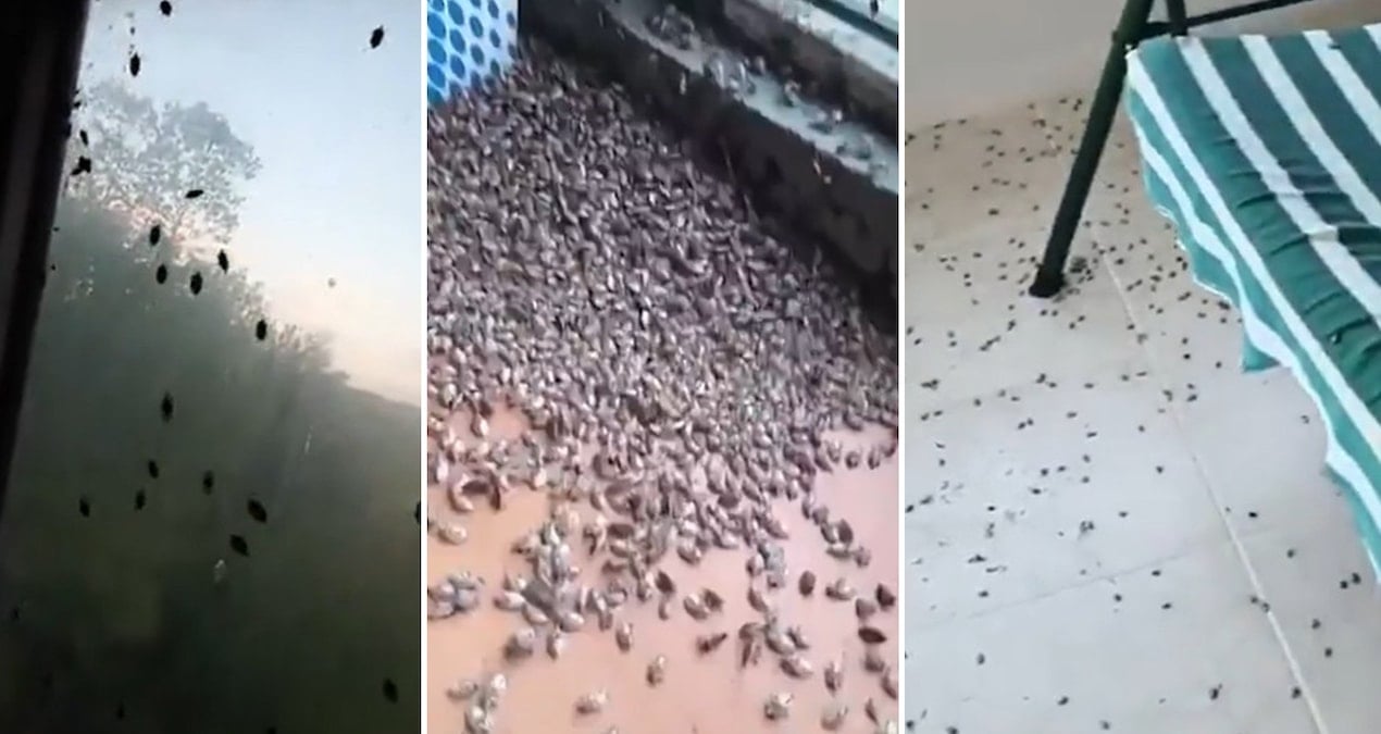 kentteki evleri istila etti tehlike her gecen gun buyuyor halk pencereleri bantliyor fny1MlPJ