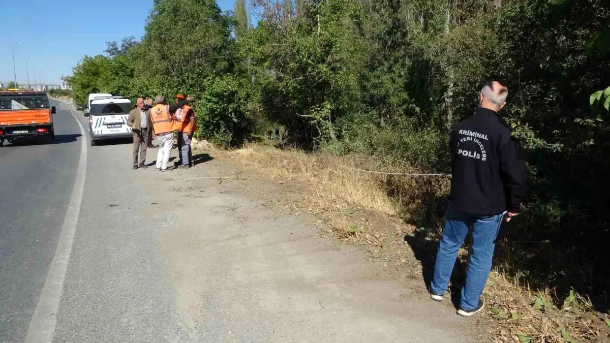 malatyada otomobil kayisi bahcesine uctu 1 yarali naLKajb8.jpg