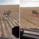 nasil-olduguna-kimse-anlam-veremiyor-bozkirin-ortasinda-dehsete-dusuren-goruntu-kVw7wYPU.jpg
