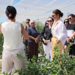 Izmir tirede berry hill ciftligine teknik gezi peliXX2L